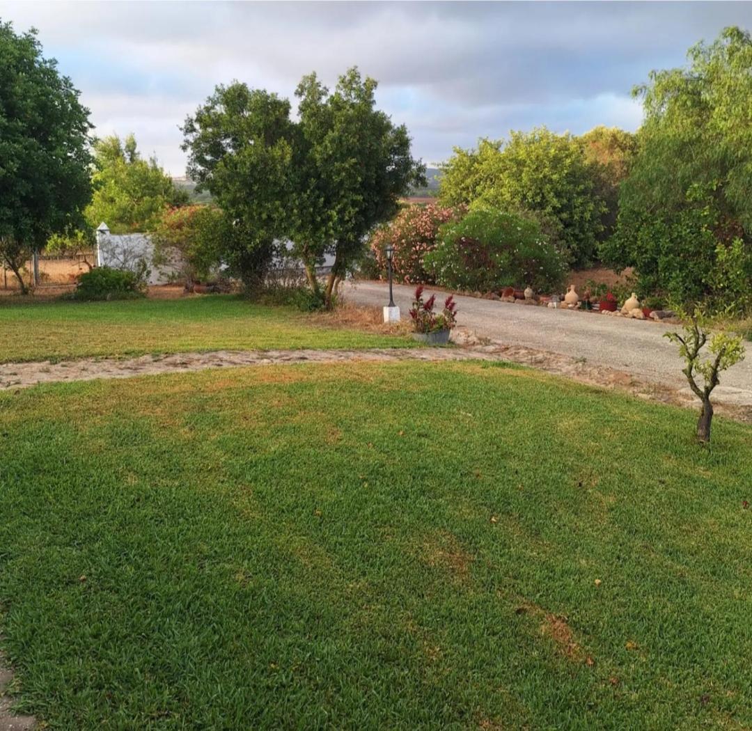 Casa Rural El Nino Santamaria , Con Piscina Y Wifi مْبيخير ذي لا فرونتيرا المظهر الخارجي الصورة