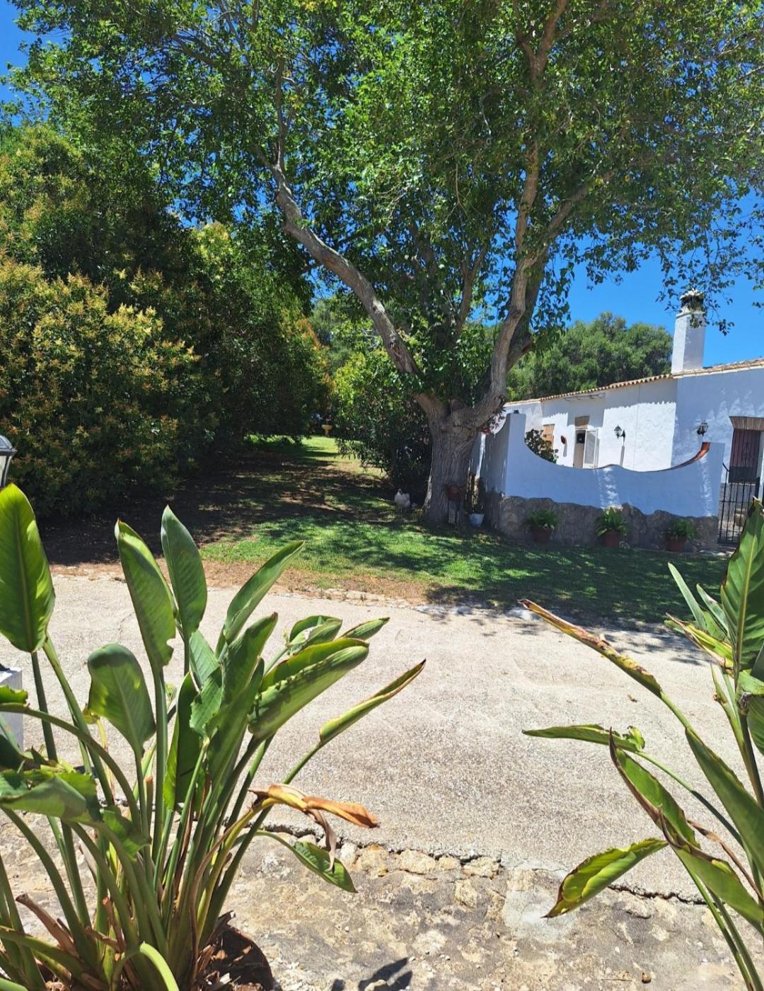 Casa Rural El Nino Santamaria , Con Piscina Y Wifi مْبيخير ذي لا فرونتيرا المظهر الخارجي الصورة